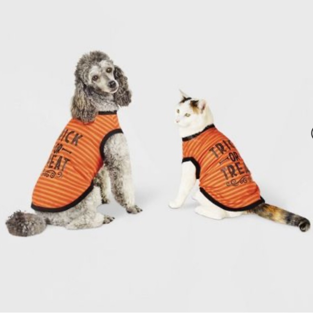 Halloween Trick or Treat Graphic Dog and Cat T-Shirt Orange Hyde & EEK! Boutique